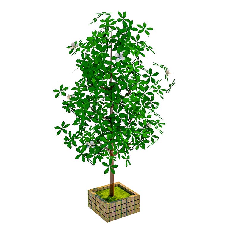 千库网_室外植物_模板编号4961197 千库网_室外植物_模板编号4961197